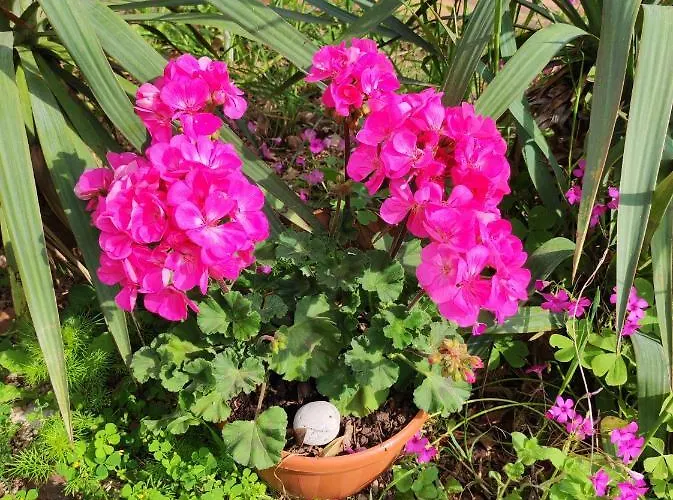 Apartamento Ketryn Crikvenica